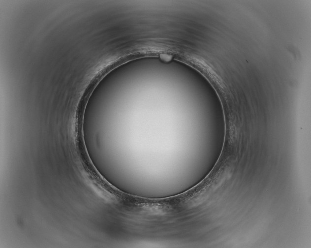 X0000111430439200907131226