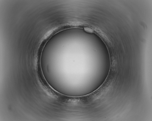 X0000111430440200907131226