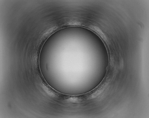 X0000111430441200907131226