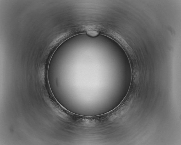 X0000111430442200907131226