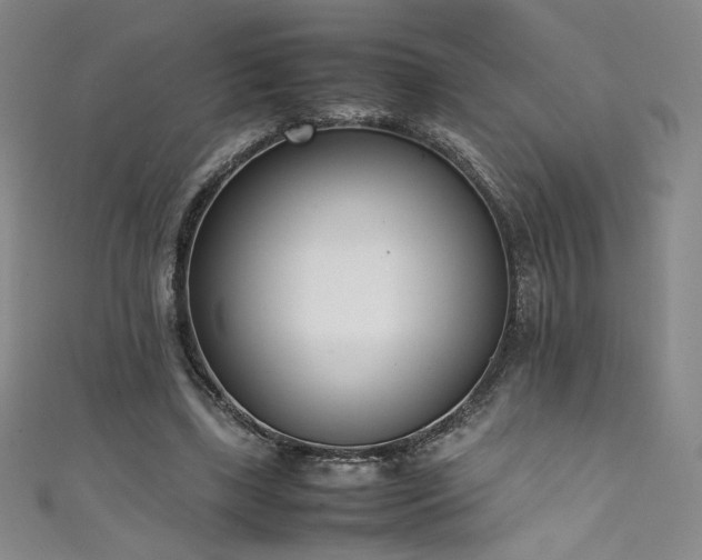 X0000111430443200907131226