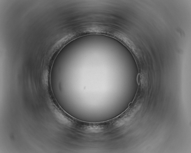 X0000111430445200907131226
