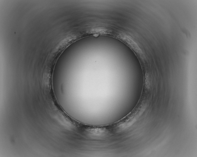 X0000111430449200907131226