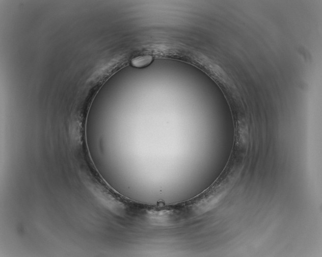 X0000111430450200907131226