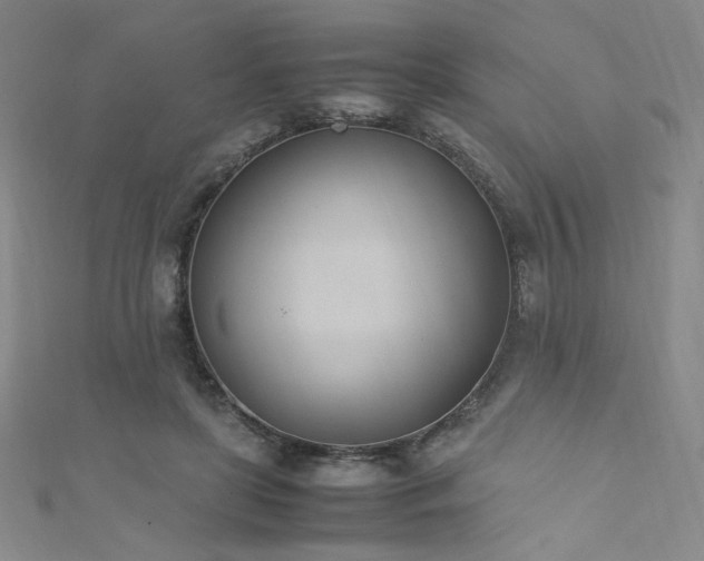 X0000111430451200907131226