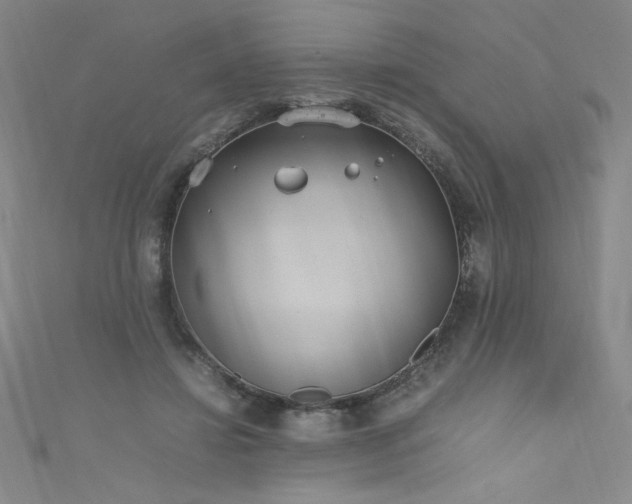 X0000111430452200907131226