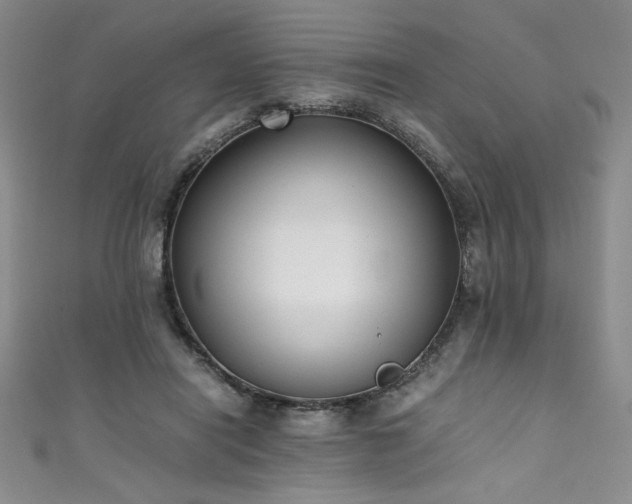 X0000111430454200907131226