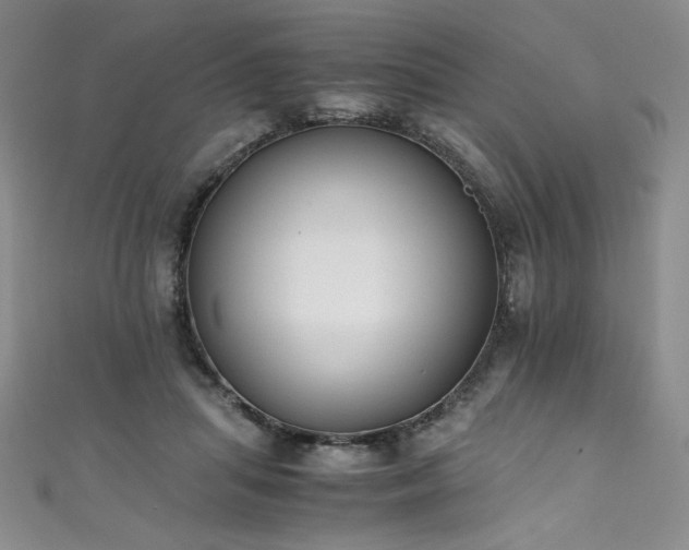 X0000111430455200907131226