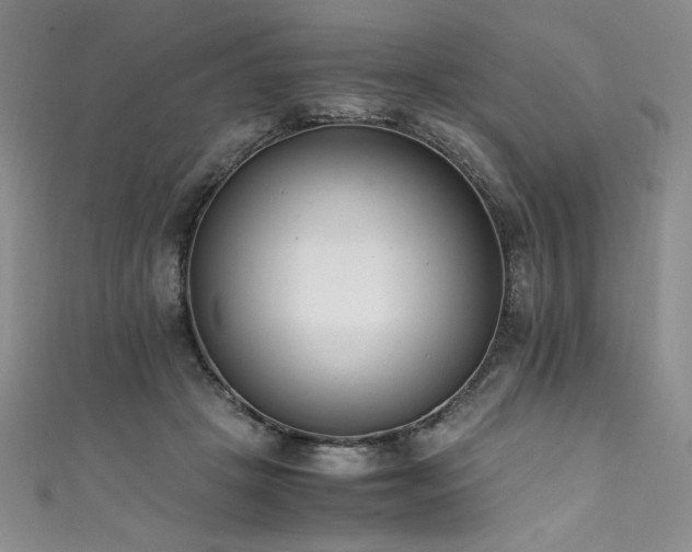 X0000111430457200907131226