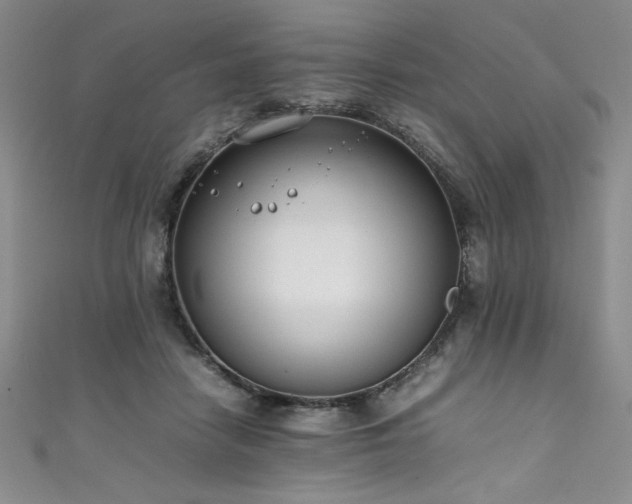 X0000111430458200907131226