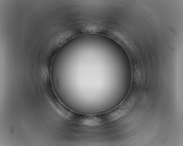 X0000111430459200907131226