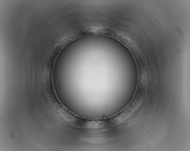 X0000111430461200907131226