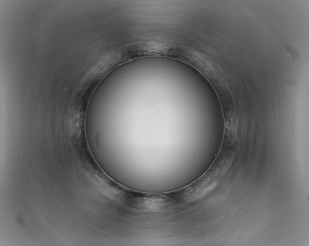 X0000111430462200907131226