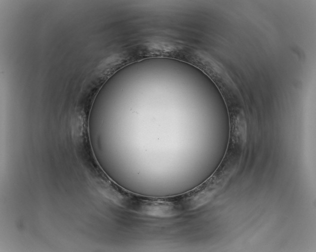 X0000111430463200907131226