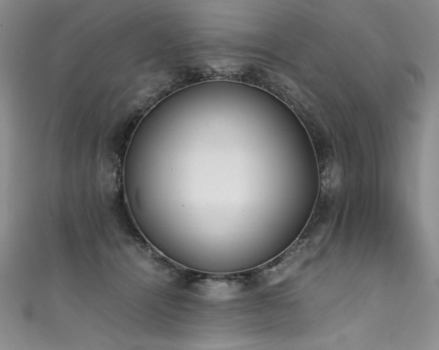 X0000111430464200907131226