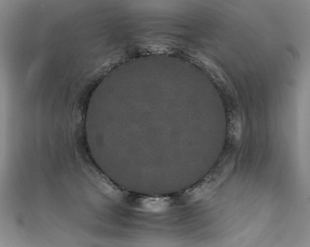X0000111430465200907131226