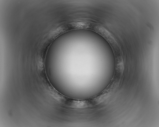 X0000111430469200907131227