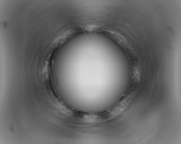 X0000111430470200907131227