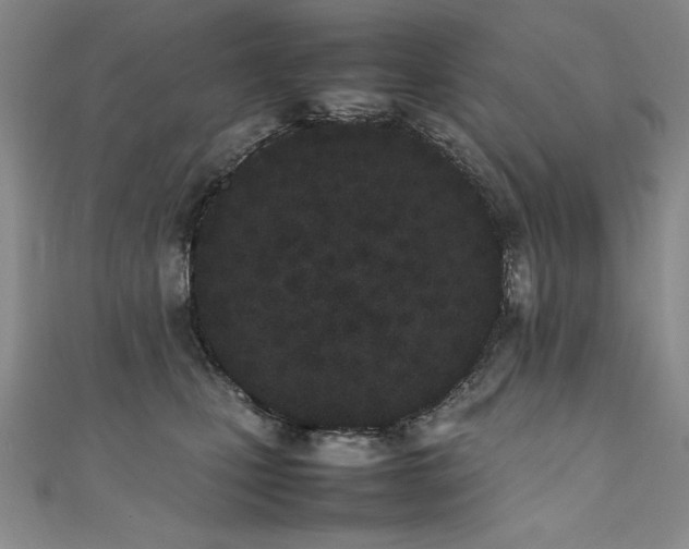 X0000111430471200907131227