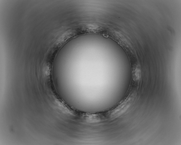 X0000111430472200907131227