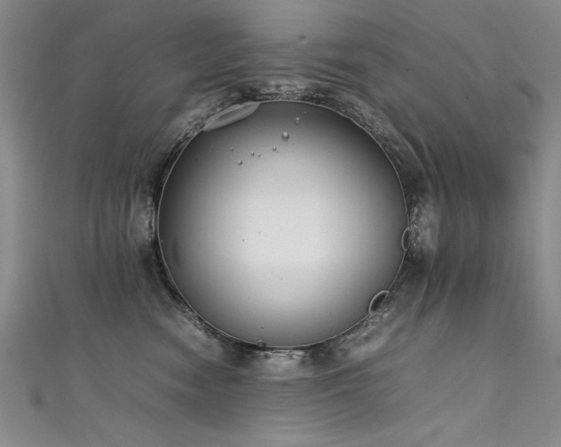 X0000111430474200907131227