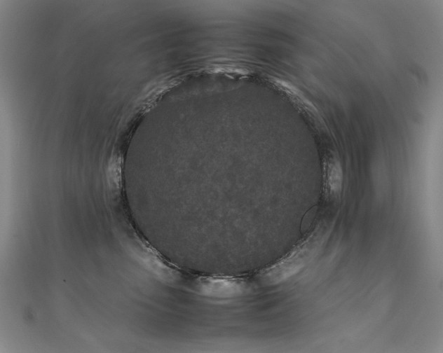 X0000111430475200907131227