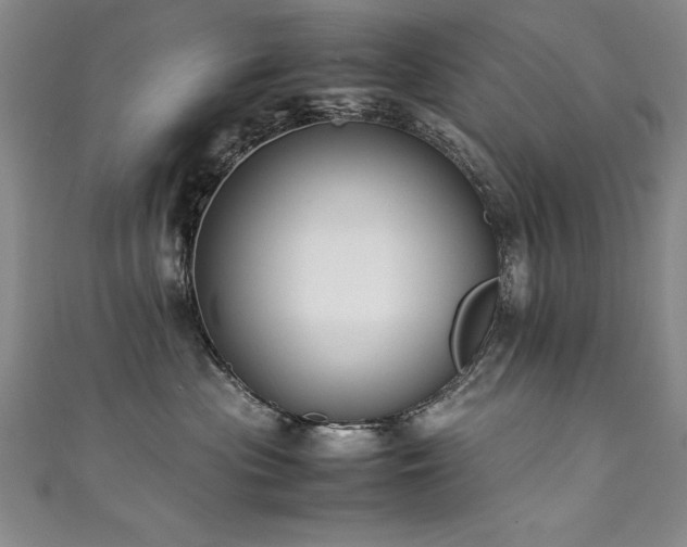 X0000111430477200907131227