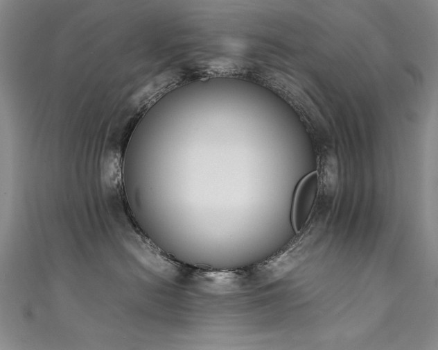 X0000111430478200907131227