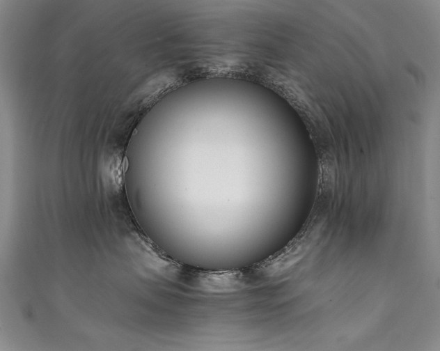 X0000111430479200907131227