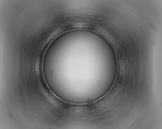 X0000111430482200907131226