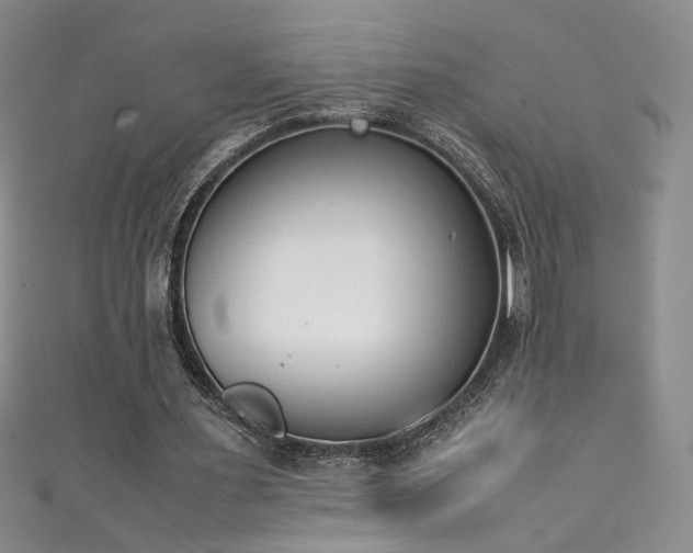 X0000111430483200907131226
