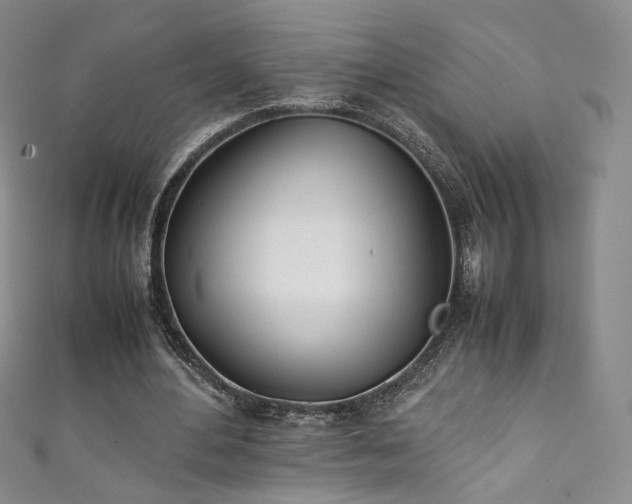 X0000111430484200907131226