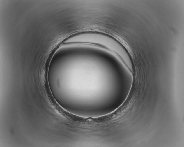 X0000111430485200907131226