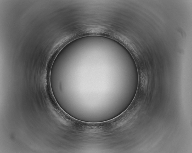 X0000111430486200907131226