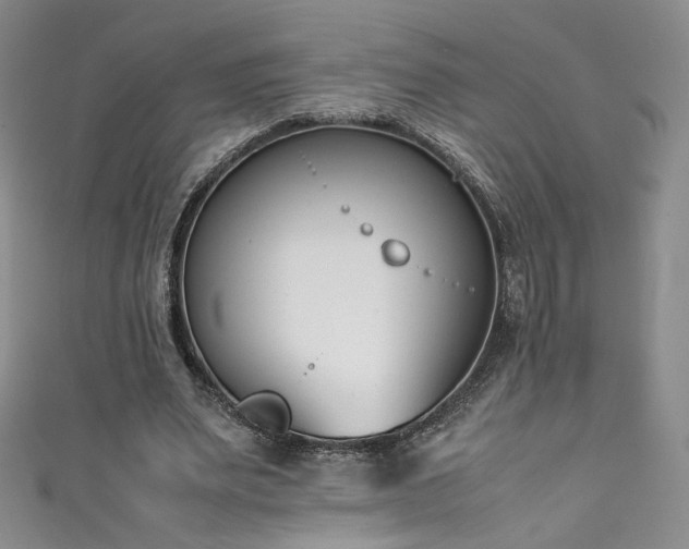 X0000111430487200907131226