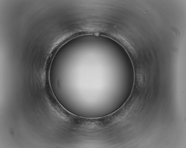 X0000111430488200907131226