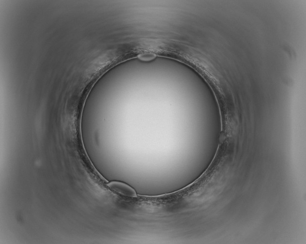 X0000111430489200907131226