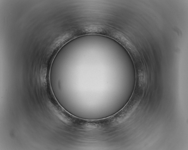 X0000111430490200907131226