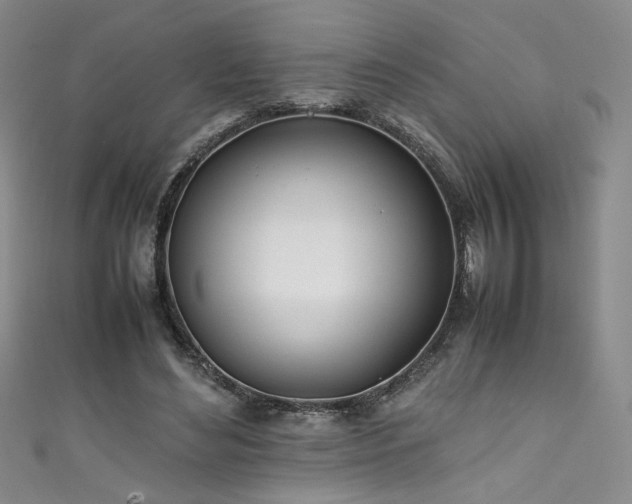 X0000111430492200907131226
