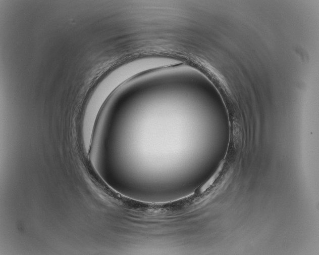 X0000111430493200907131226