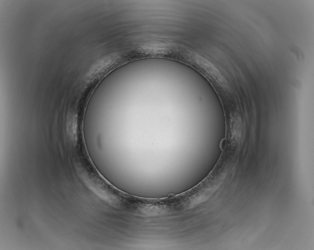 X0000111430494200907131226
