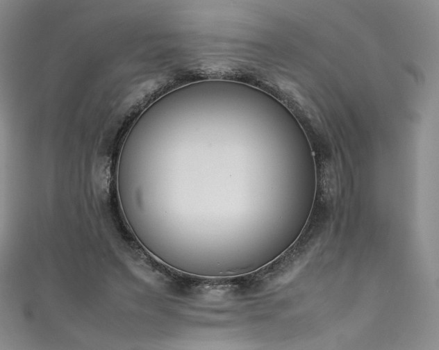 X0000111430495200907131226