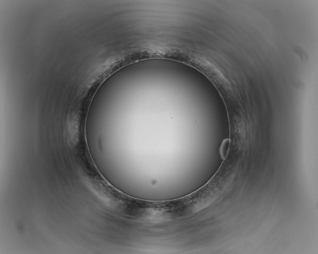 X0000111430496200907131226