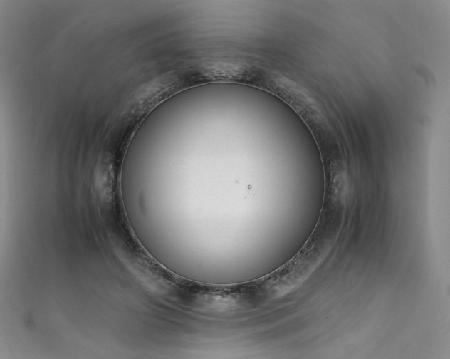 X0000111430498200907131226