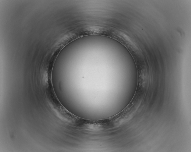 X0000111430500200907131226