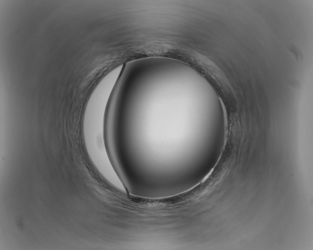 X0000111430501200907131226