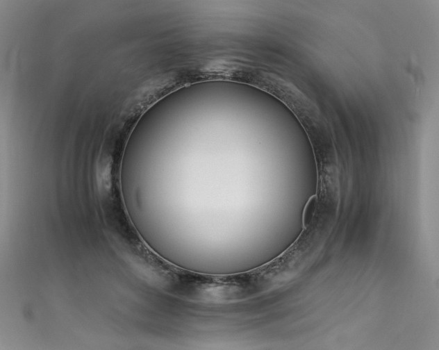 X0000111430504200907131226