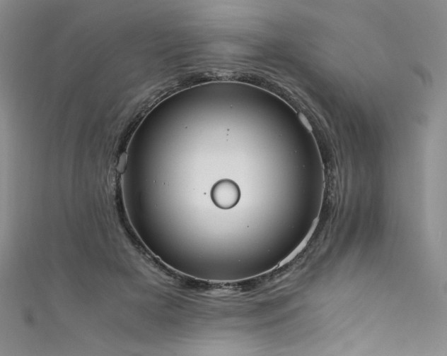 X0000111430505200907131226