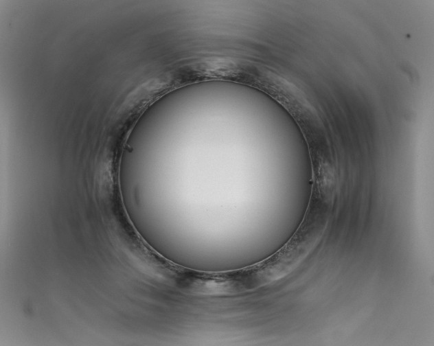 X0000111430506200907131226