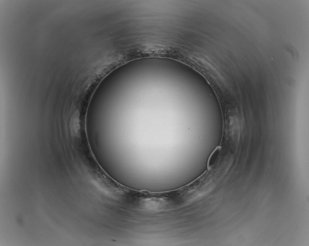 X0000111430508200907131226